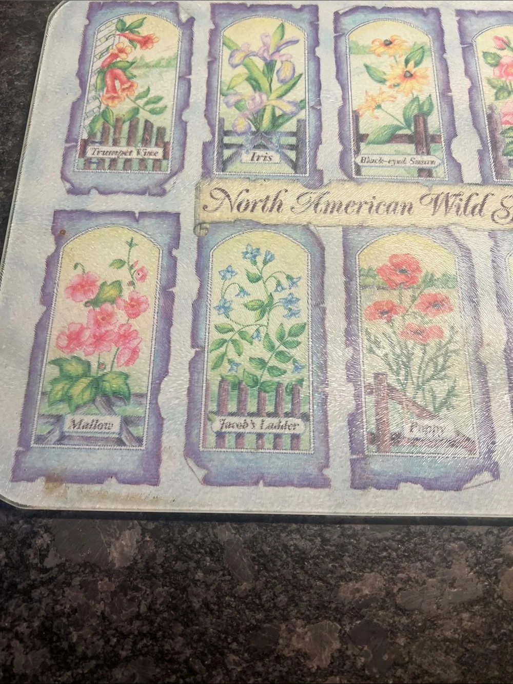 Duration Counter Saver Tempered Glass North American Wild Flowers